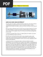 Motores Eléctricos Trifásicos Asincronos