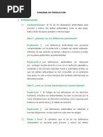 ESQUEMA DE PRODUCCION Defensores Ambietales