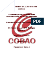 Ensayo Sobre La Contaminación Ambiental 205