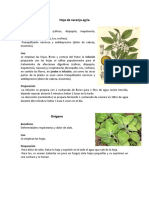 Plantas Medicinales