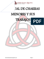 Manual de Chakras Menores y Sus Trabajos