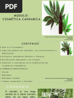 Cannabis para La Salud de La Piel Euroclase