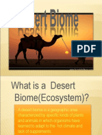 Desert Ecosystem