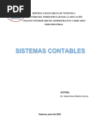 Informe Sistema Contable