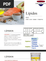 Lípidos