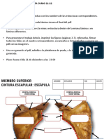 Trabajo de Prácticas Farmacia Curso 21-22