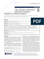 Risk Factors and The Resistance Mechanisms Involved in Pseudomonas Aeruginosa Mutation in Critically Ill Patients