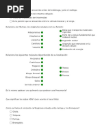 Test de Anatomia Humana - 1