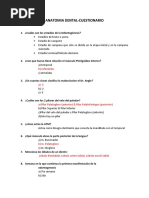 Anatomia Dental