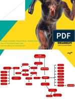 Trabalho Mapa Conceitual Sistema Cardiorrespiratório 