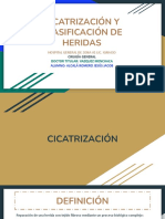 Cicatrizacion y Clasificacion de Heridas-2