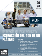 Informe - Extraccion Del Adn Del Platano