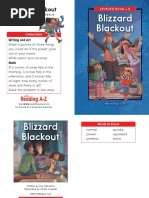 Blizzard Blackout Reader