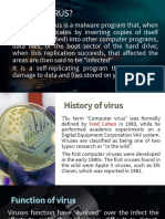 History of Virus