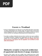 Types of Tropical Foressts