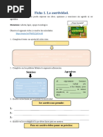 Fichas Socioemocional