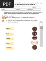 Prueba Solemne Ciencias Primero