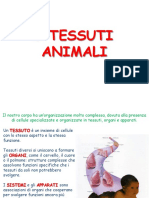 Tessuti