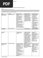 Planificacion Cuatrimestral 2022 PDL