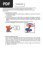 Ficha de Trabajo - El Reino Fungi.-Primero