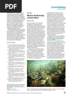 Marine Biodiversity Conservation: Primer