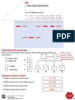 Gel Electrophoresis Worksheet Teacher Answers