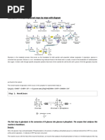 Slides Glicólise