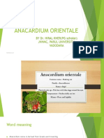 Anacardium Orientale