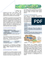 Diabetes y Gestación