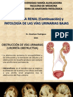 Renal 2 Actualizado 2021