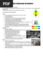 Conducta de Bovinos, Ovinos y Caprinos