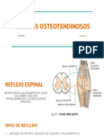 Reflejos Osteotendinosos