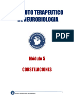 Manual Modulo 5 Constelaciones 13-1