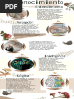 Infografia Filosofia Esap