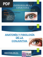 Patologia de La Conjuntiva