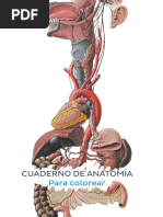 Cuaderno de Anatomía para Colorear