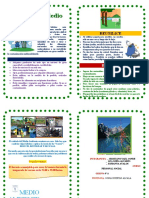 Diptico Del Medio Ambiente 5