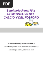 Seminario Renal IV - CA y P