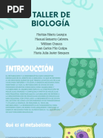 Funciones Del Metabolismo