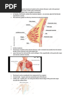 Breast