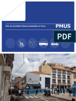 Plan de Movilidad Sostenible Puno