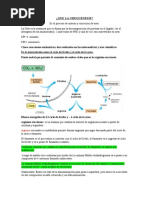 EL DESTINO DEL ESQUELETO CARBONADO (Recuperado Automáticamente)