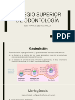 Discigerminativo Trilaminar