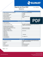 Reporte Ficha de Ruc Sivca