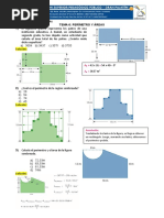 TEMA 3-Perímetro y Areas