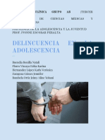 Delincuencia Juvenil