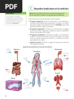 Aparatos Implicados en La Nutrición: Recuerda