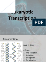 Transcripcion Eucariota 