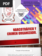 Narcotrafico y Crimen Organizado