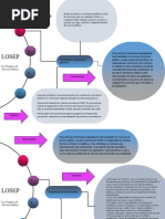 Losep Mapa Mental